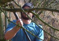 WWOOF funguje